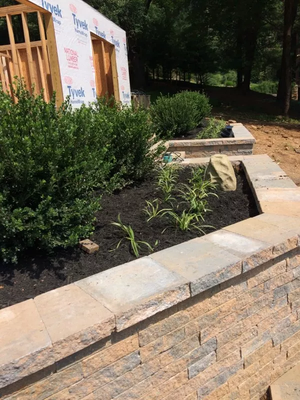 Landscaping in DMV Metro Area