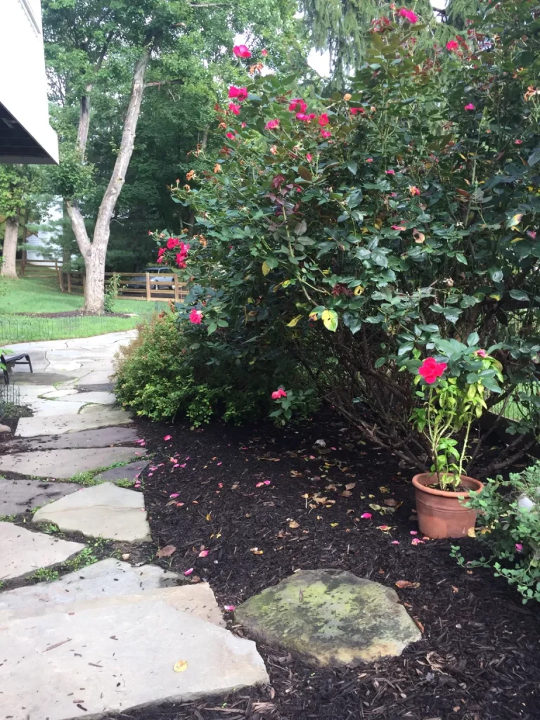 Landscaping in DMV Metro Area