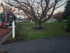 Landscaping in DMV Metro Area