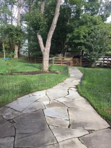 Landscaping in DMV Metro Area