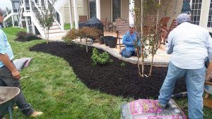 Landscaping in DMV Metro Area